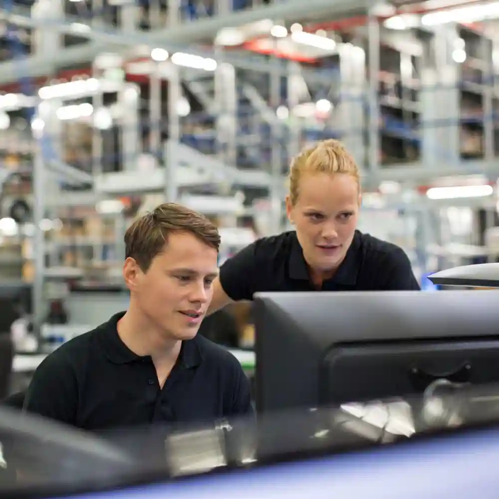 Two consultants working, looking a PC screen.